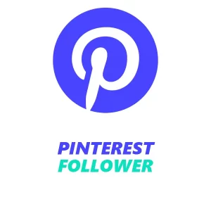 Pinterest Profil mit wachsender Follower-Anzahl zur Unterstützung der Sichtbarkeit